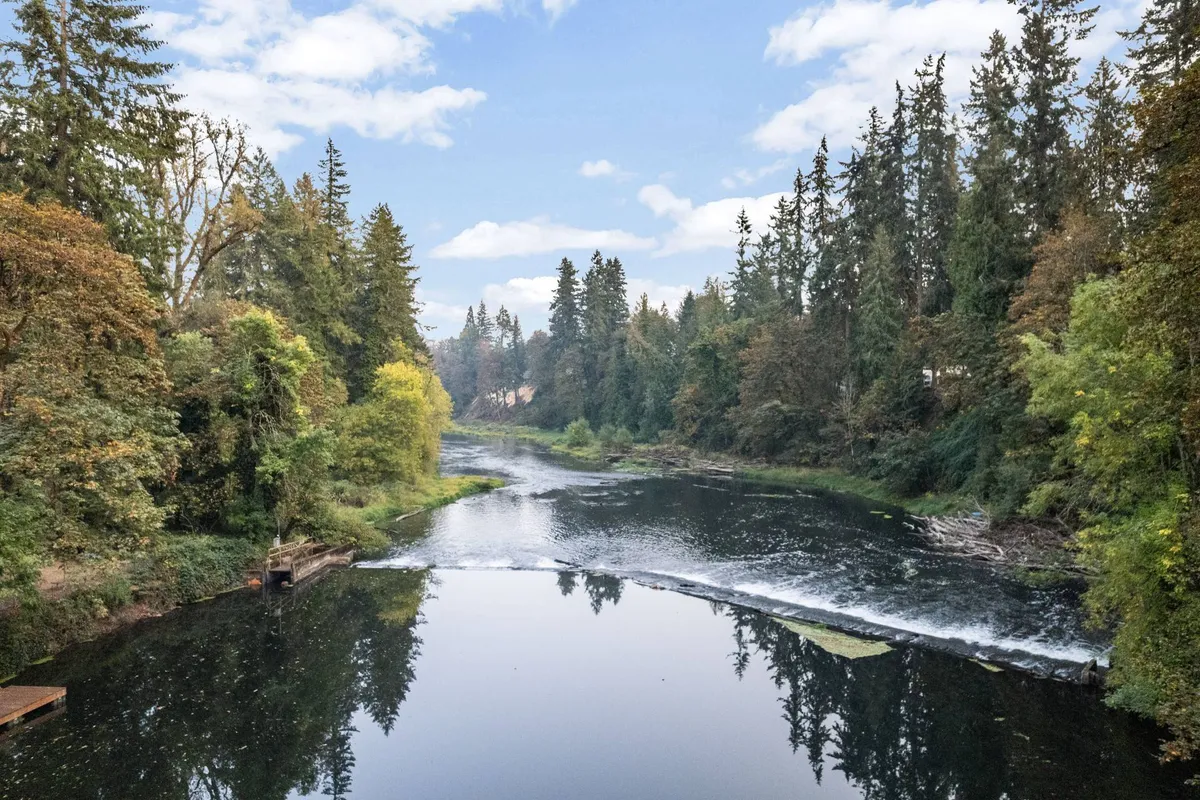A picturesque view of the river with trees reflected in the water. The atmosphere is tranquil and immersive, hinting at wildlife sightings and outdoor activities like birdwatching or kayaking.